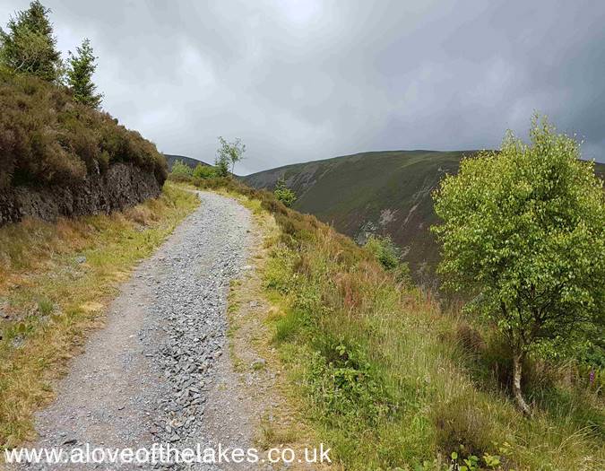 The narrow stony track