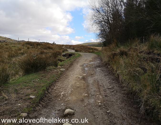 The track climbs steadily 