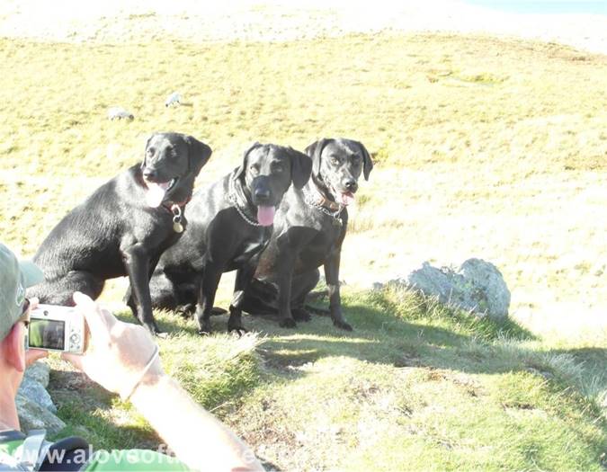 Arthurs Pike walk