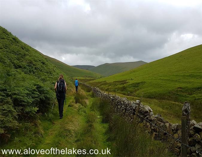 Following the line of the wall