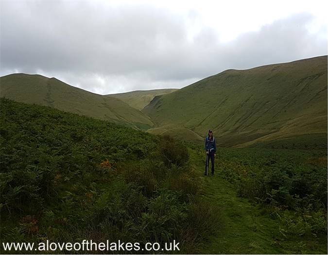 First sight of Great Cockup