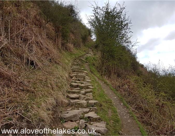 The stepped path