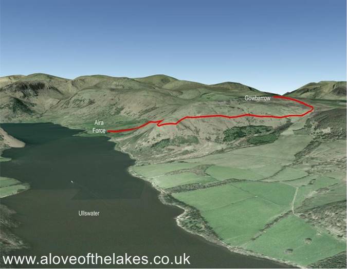 Terrain image
