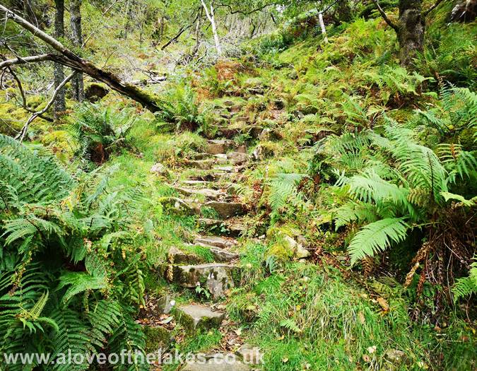 The stone pitched path