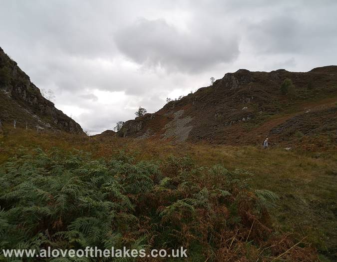 Out on the open Fell side