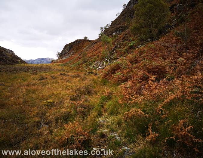 Passing the scree shoot