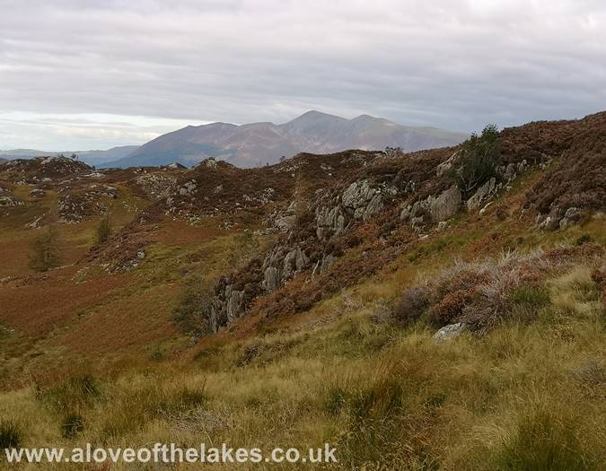 Looking towards Skiddaw