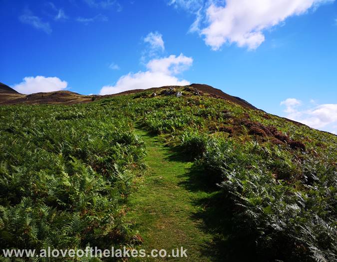 Approaching the Lad Hows ridgeline