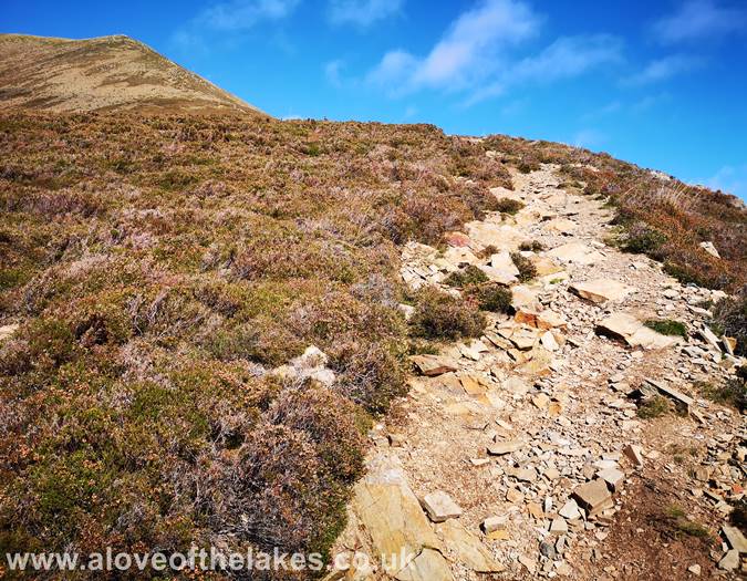 The start of the scree