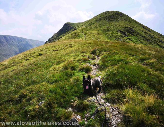 Looking towards Gray Crag