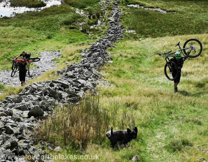 Mad dogs and Englishmen go out in the mid day sun