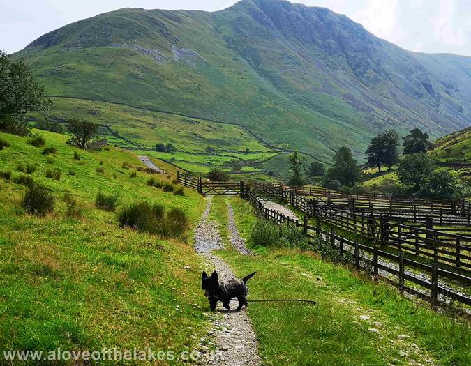 Starting out on the path