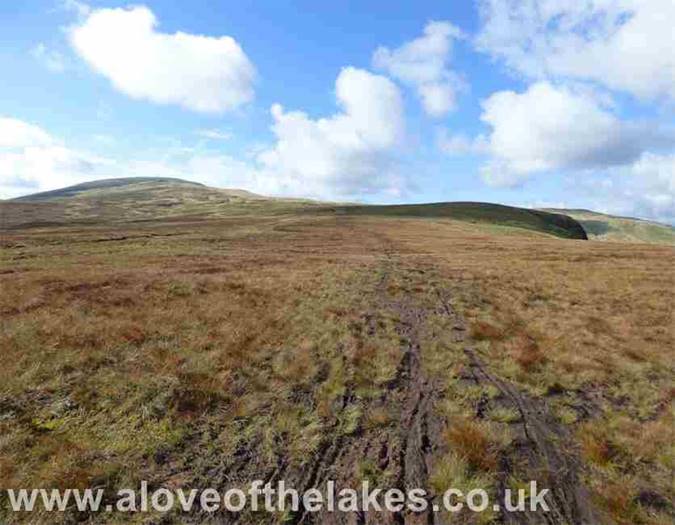 Boggy ground