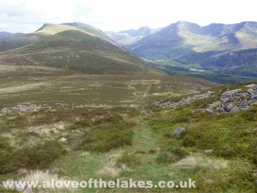 The path to Starling Dodd