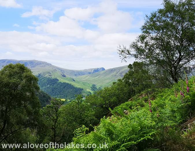 Looking towards Grey Knotts