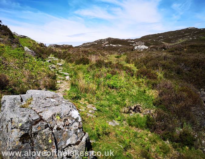 The track at the Northern end of the Tarn