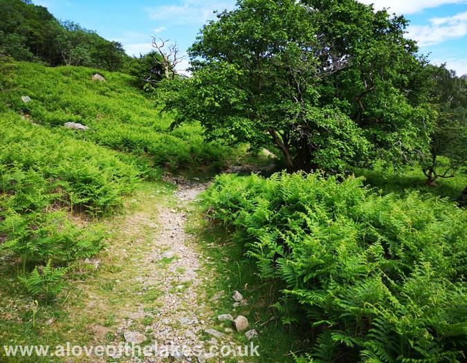 The path climbs towards a stone wall