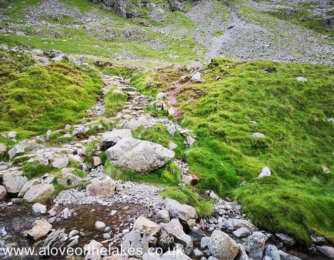 Crossing the Gill