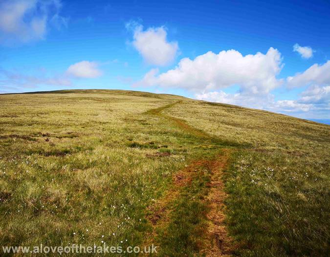 The path towards Knott
