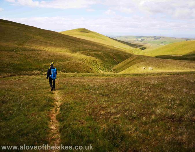 Crossing Charlton Gill