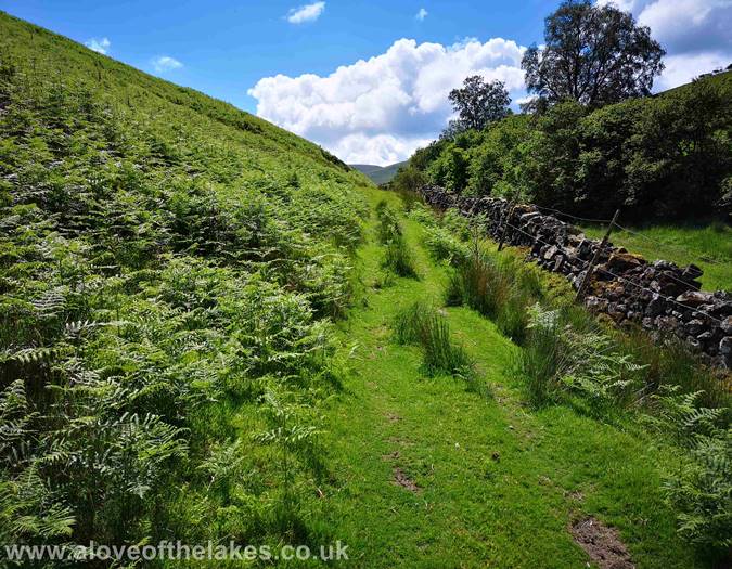 Heading out on the path