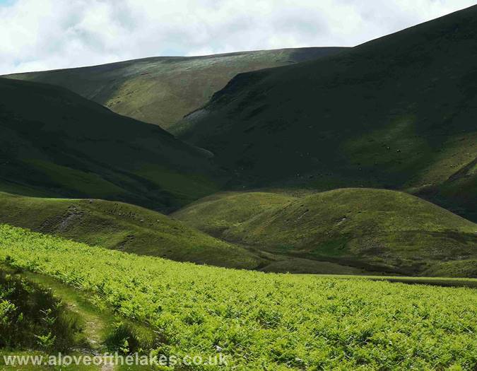 Looking towards Trusmador
