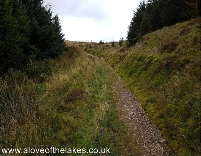 The stony path