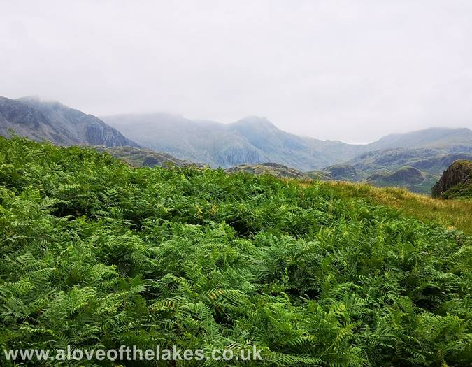 A brief glimpse of Scafell Pike