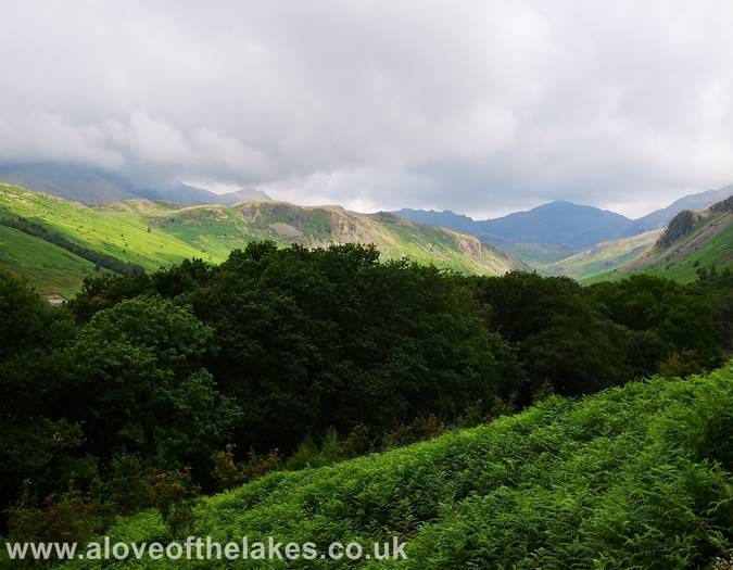Looking back towards Bowfell