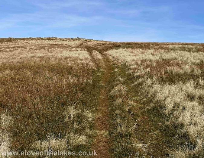 Approaching the summit of Hart Side