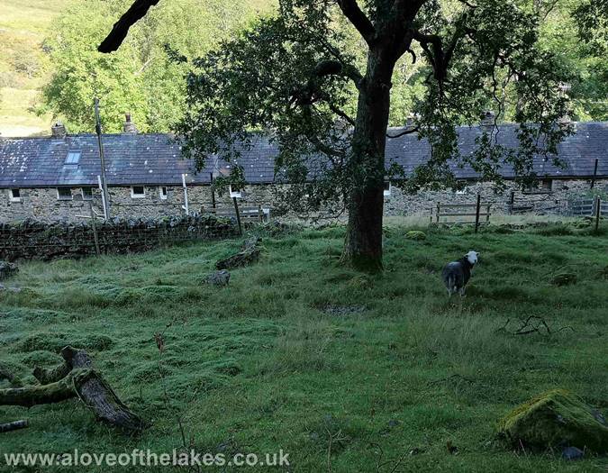 The Miners cottages