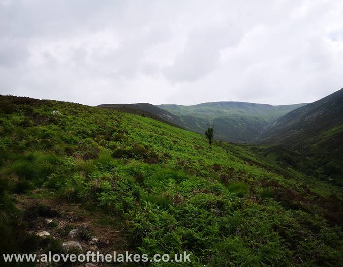 The long walk upto the connecting ridge