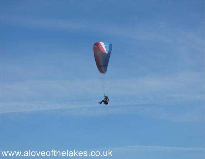 Paraglider
