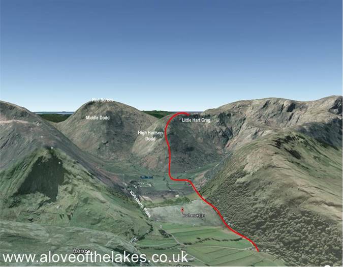 Terrain image