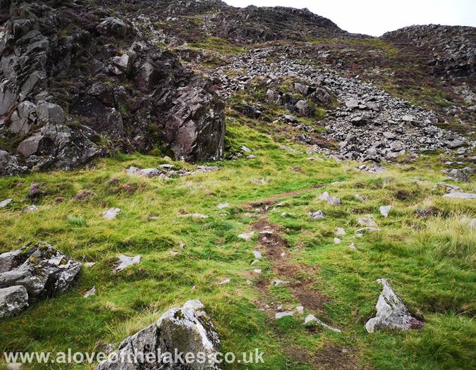 The start of the path