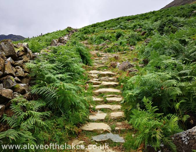 The stepped path