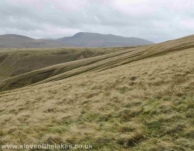 Looking towards Blencathra