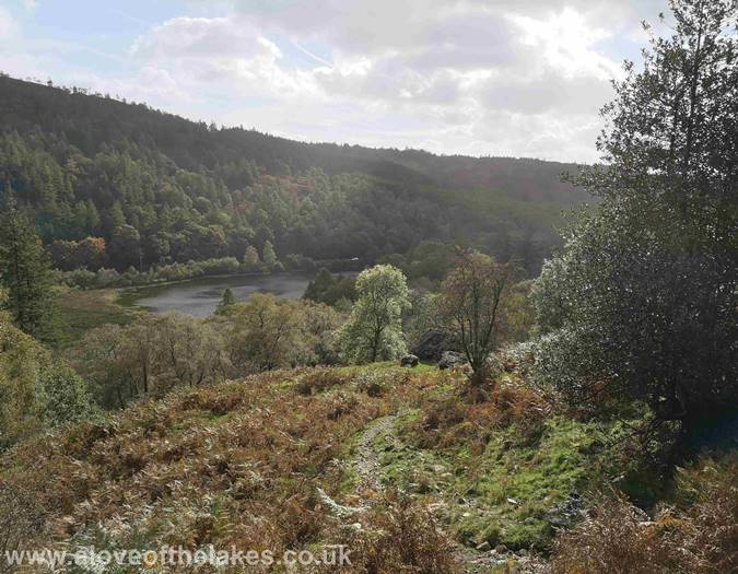 Looking back to the Tarn