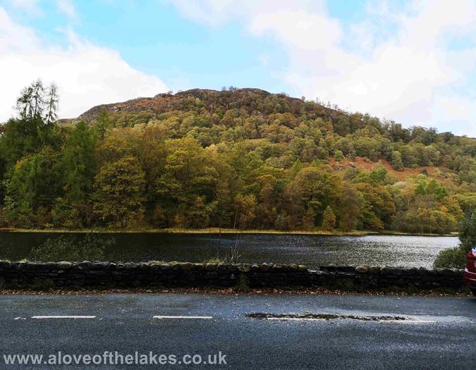 Holme Fell from Yewtree Tarn