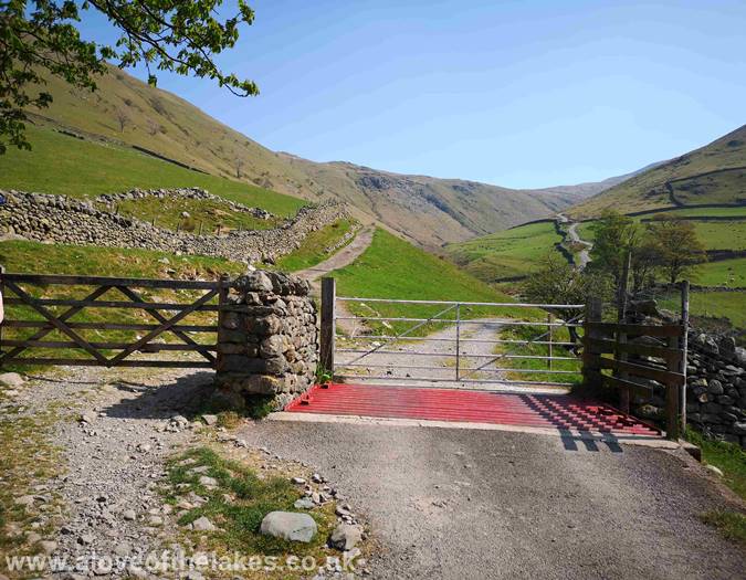 The Cattle grid