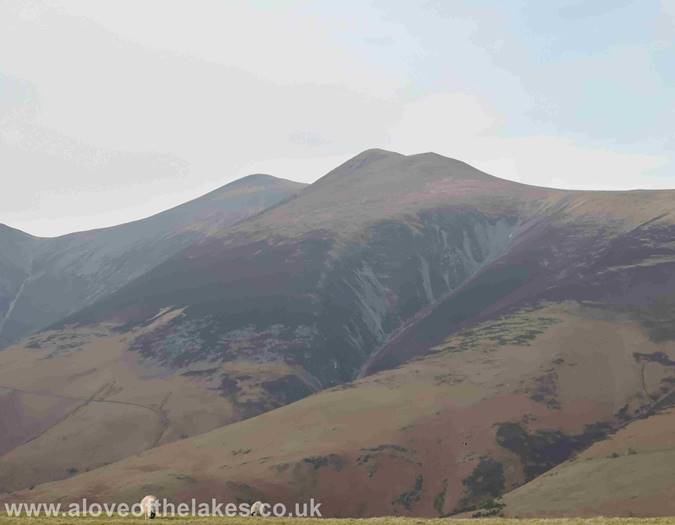 Looking towards Skiddaw