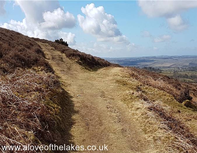 Turn left at the fork