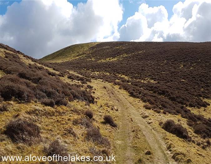 The path makes a hairpin turn