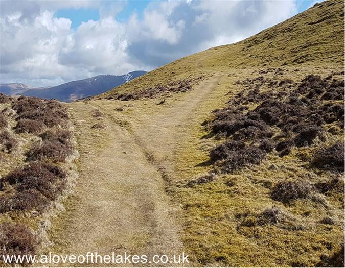 The path branches off right
