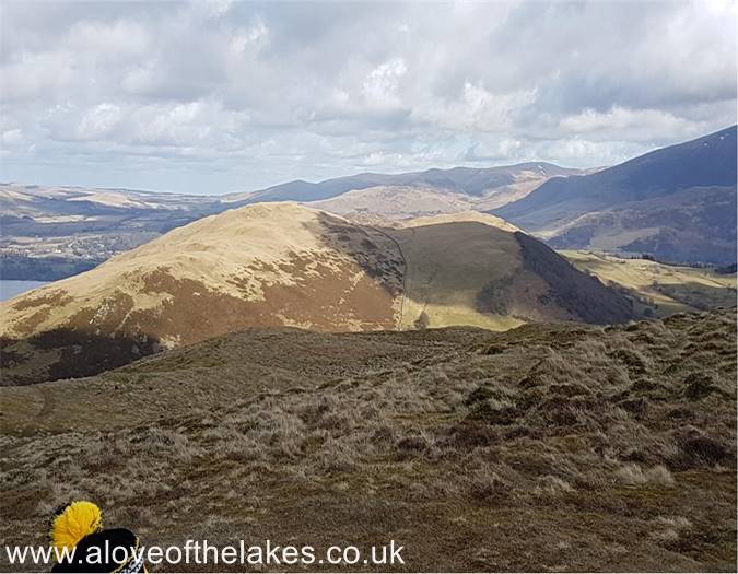 Looking towards Sale Fell