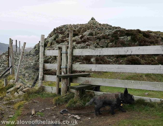 Lingmoor Fell walk