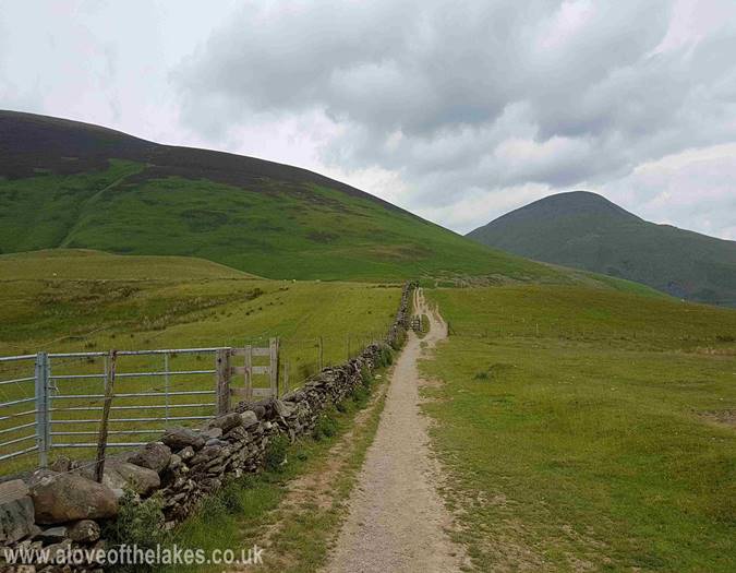 The path follows the fenceline