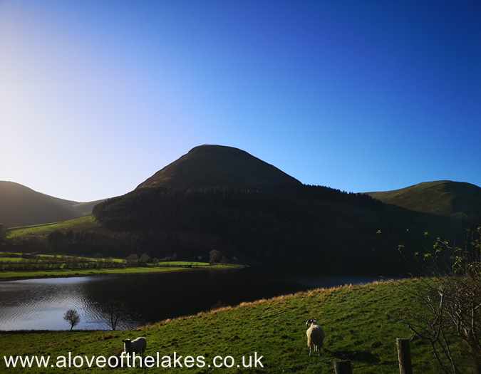 2025 lookback | aloveofthelakes