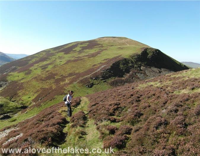 Looking back to Great Cockup