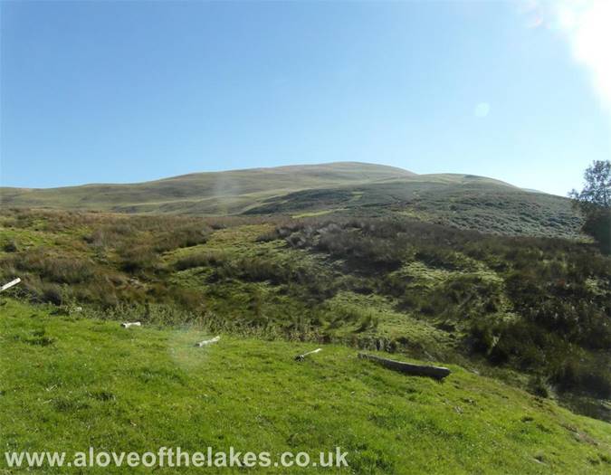 Looking towards Longlands Fell